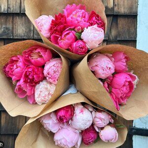 Meet your Posher, Cristina